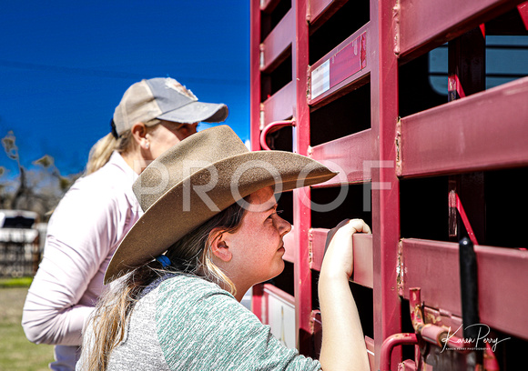 In the Chutes_Loading into Trailer-7