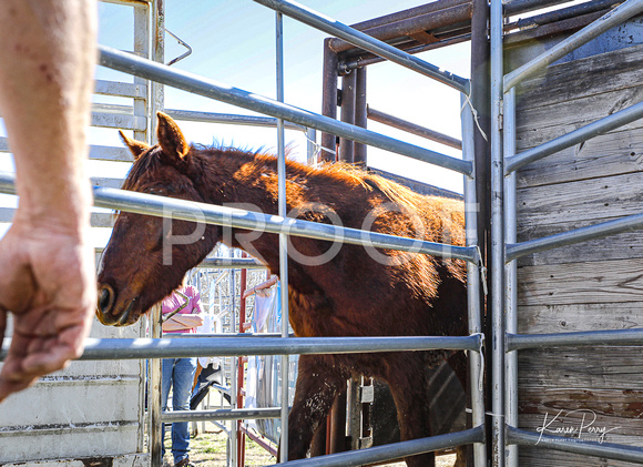In the chutes_loading-3