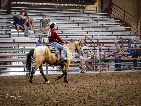 Open Adult_Ranch Riding_Back #4_Buckskin-9214