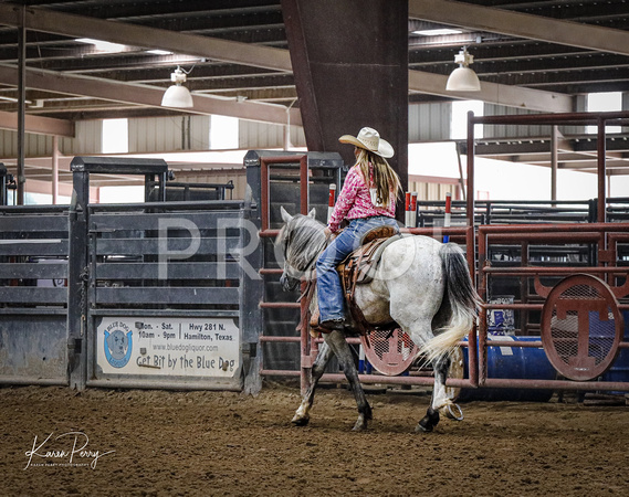 Open Adult_Ranch Riding_Back #3__-Grey Horse-9274