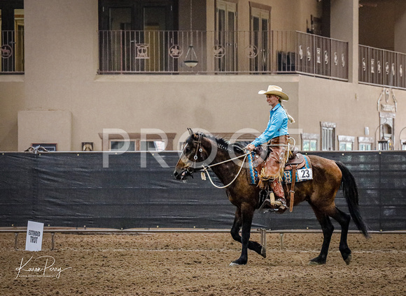 Open Adult_Ranch Riding_Back #23-9236
