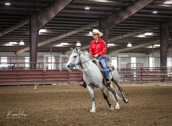 Open Adult_Ranch Riding_Back #___-Grey Horse-9177