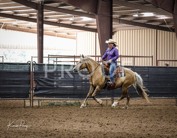 Open Adult_Ranch Riding_Back #12_Tricia Hambrick-9129