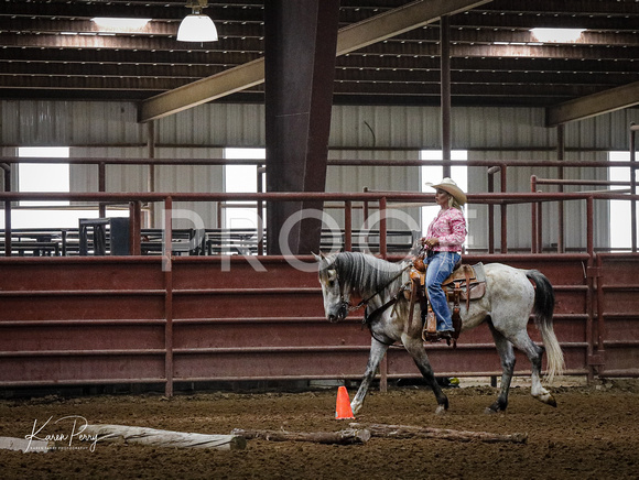 Open_Ranch Riding_Back #__-Grey horse-9088