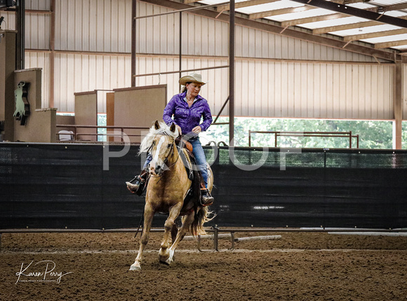 Open Adult_Ranch Riding_Back #12_Tricia Hambrick-9130