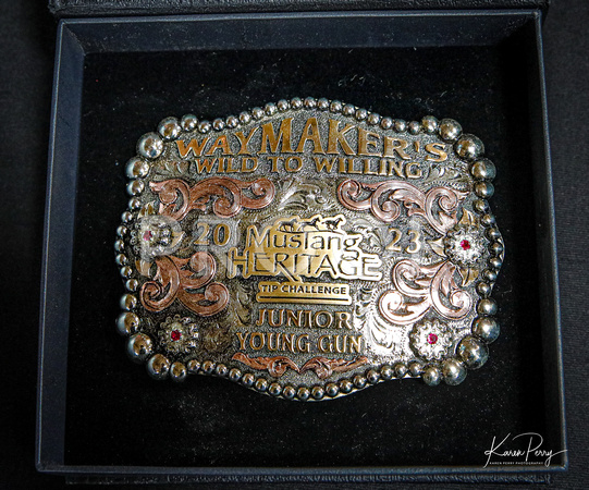 Prizes, Ribbons & Buckles-8599