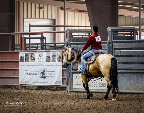 Open Adult_Ranch Riding_Back #4_Buckskin-9218