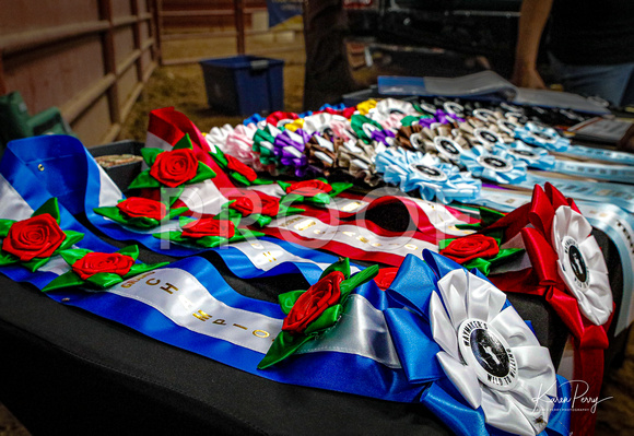 Prizes, Ribbons & Buckles-8594