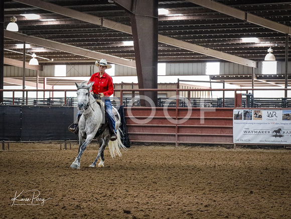 Open Adult_Ranch Riding_Back #___-Grey Horse-9175