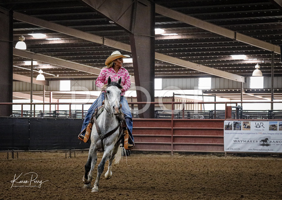 Open_Ranch Riding_Back #__-Grey horse-9092