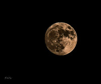 Blue Moon over Kerrville_08292023-1