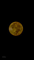 Blue Moon-16-9 just before sunrise_08312023-9807