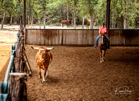 cow work_20220521-3